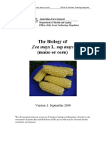 The Biology of Zea Mays L. SSP Mays (Maize or Corn)