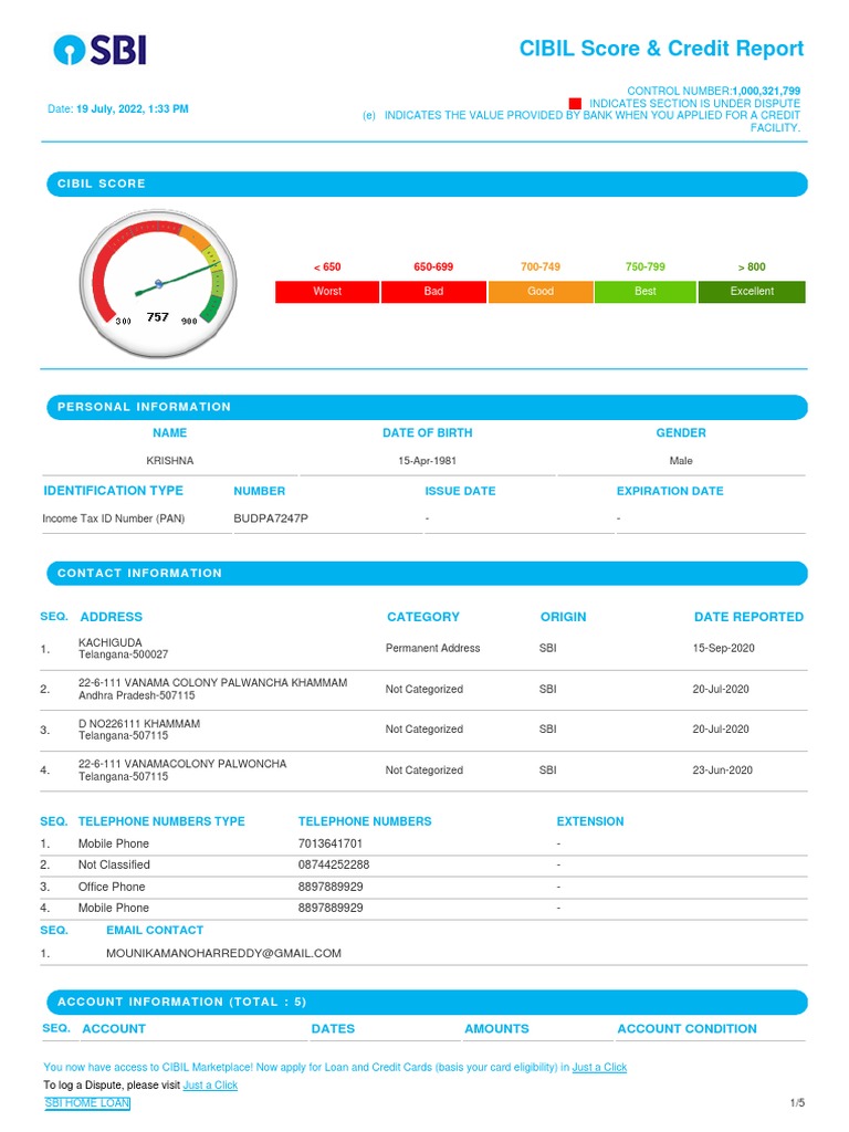 CIBIL Score & Credit Report | Download Free PDF | Credit | Finance ...