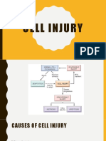Causes and Types of Cell Injury