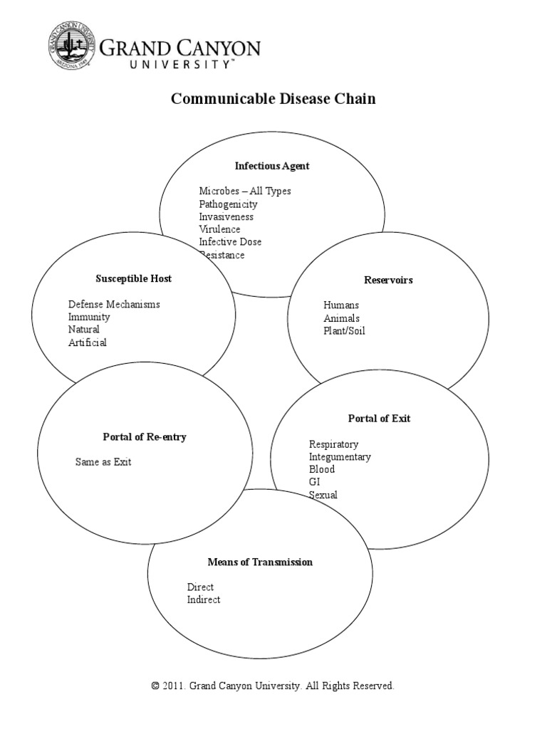 Communicable Disease Chain: Infectious Agent | PDF