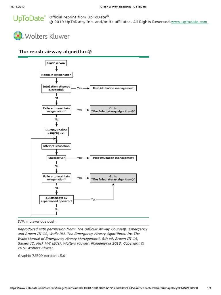 Crash Airway Algorithm | PDF