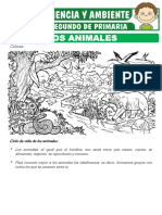 Los Animales y Su Clasificacion para Segundo de Primaria