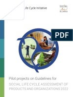 Pilot Projects On UNEP SLCA Guidelines 12.5