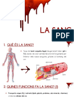 La Sang - Elements I Funcions