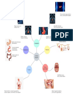 Sistema digestivo: órganos, procesos y reguladores