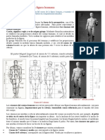 Clase Estudio de La Figura Humana