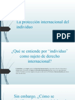 La Protección Internacional Del Individuo