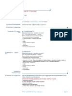 Fac Simile Curriculum 4