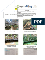 Listado de Actividades 2022 06 22