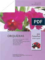 Guia completo sobre orquídeas