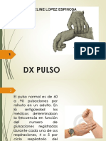 DX Pulso