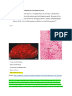 General Pathology 2nd BM Neoplasia Blood Vessel Cardiovascular Pathology Pulmonary Pathology