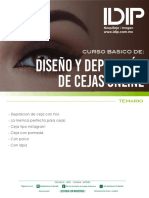 Curso Básico de Cejas Online