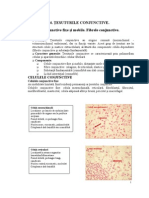 Tesuturi Conjunctive 