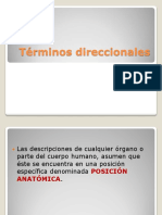 Términos Direccionales