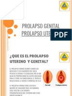 Prolapso Genital