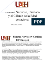 Sistemas Nervioso, Cardiaco y Cálculo de Edad Gestacional