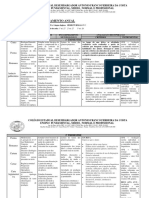 Terceiro CFD Portugues