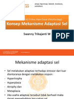 Konsep Mekanisme Adaptasi Sel