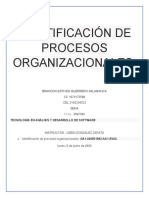 Identificación de Procesos Organizacionales.