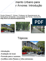 Design Urbano para Acomodar Árvores