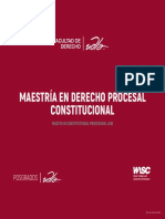Brochure Maestria Derecho Procesal 2