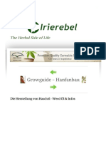 Haschöl - Weed Öl Herstellungs- Prozess- Anleitung & Infos - Irierebel