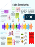 La Ontogenia Del Sistema Nervioso