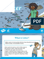 Ni G 1635850830 Eco Schools Litter Powerpoint Ver 2