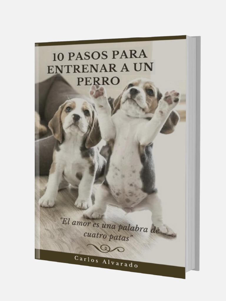 Entrenamiento Canino en 10 Pasos | PDF | Mascota