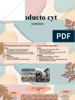 Producto Cyt