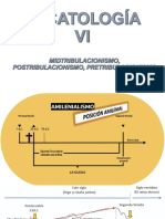 Escatología Vi