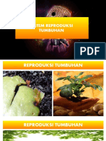 Sistem Reproduksi Tumbuhan