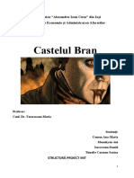 Proiect IMCT CASTELUL BRAN 1