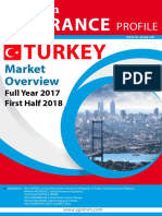Turkey Report 2018