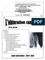 L'obturation Canalairedr CHAABNIA