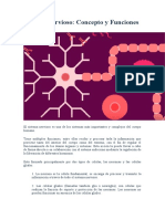 Sistema Nervioso: Concepto y Funciones: Esclerosis Múltiple
