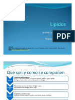 Lípidos