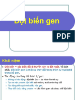 Dot Bien Gen-NTT k20