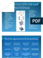 Organización Proteínas