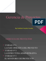 Gerencia de Proyectos PM Proyect Management Institute