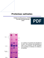 3- Proteínas salivales_con apuntes_2020