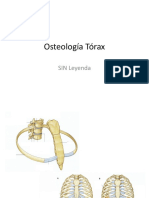 .. Osteologxa - Txrax - SIN - Leyenda
