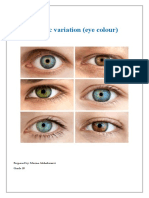 Genetic Variation (Eye Colour) : Prepared By: Muzna Alshahwarzi Grade 10