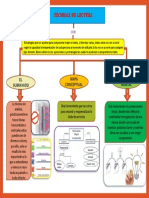 Mapa Conceptual - Lectura Critica