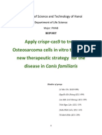 Apply Crispr Cas9 To Treat Osteosarcoma Cells in Vitro To Open A New Therapeutic Strategy For The Disease in Canis Familiaris