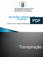 Aula 5 Transpiração