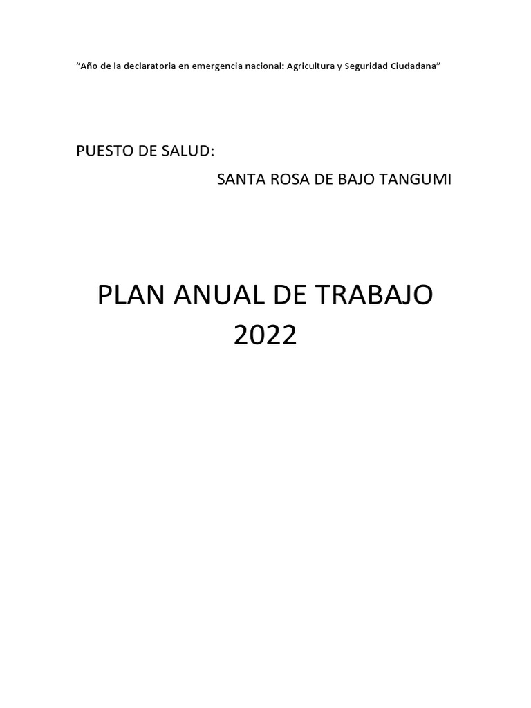 Plan Anual P.S 2022 | PDF