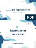 Reproductor MyF