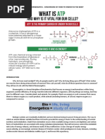 CHBH13 - Laboratory Manual 6